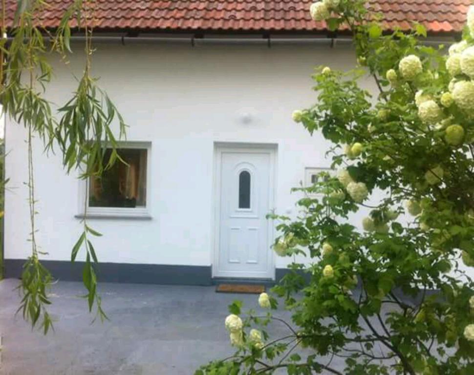 Guest House First Stop Rakovica Eksteriør billede