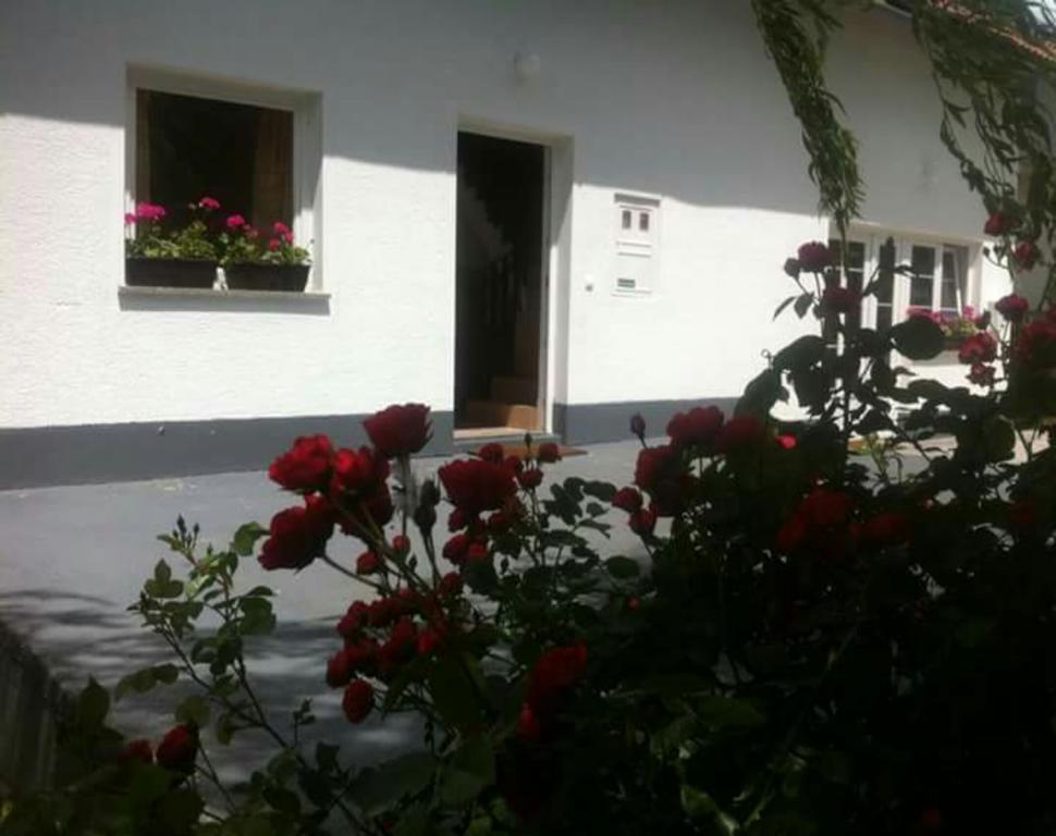 Guest House First Stop Rakovica Eksteriør billede