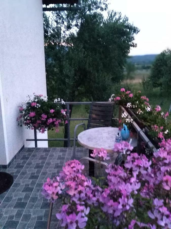 Guest House First Stop Rakovica Eksteriør billede